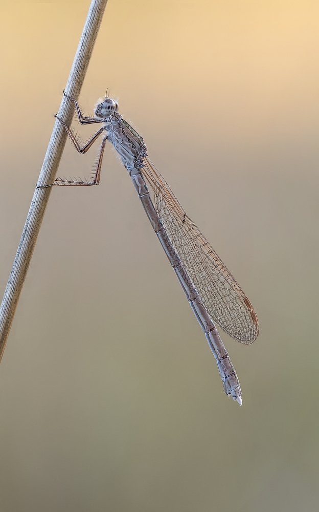 Photograph by Сергей Троицкий
