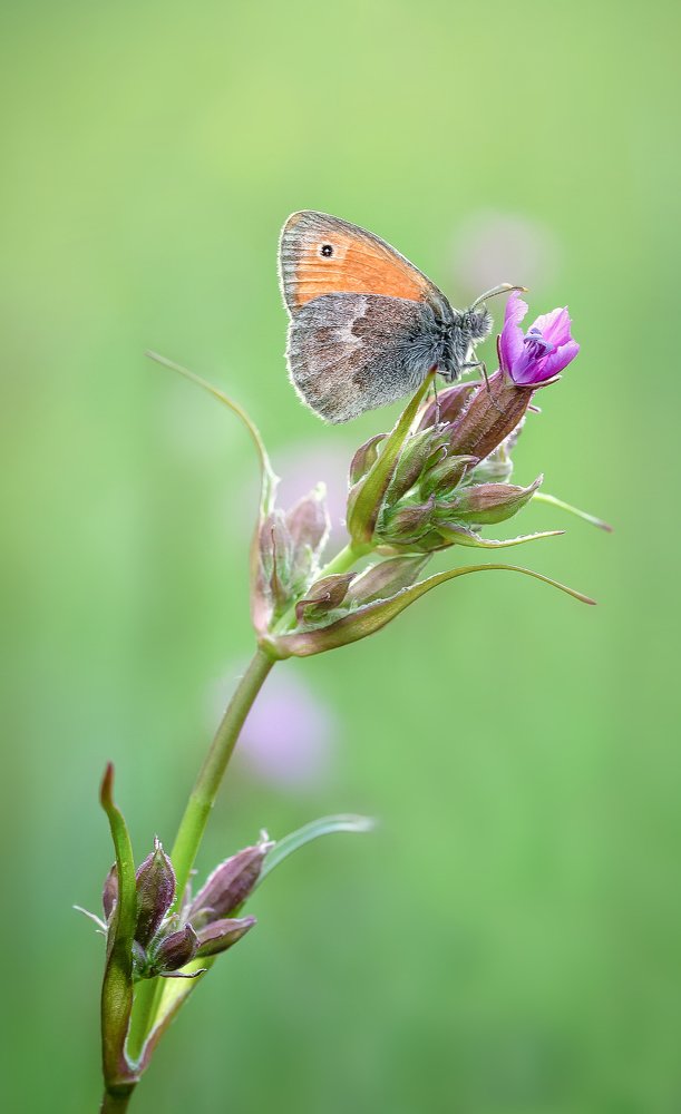 Photograph by Сергей Троицкий