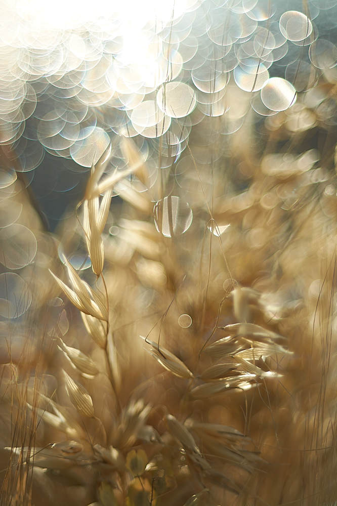 Photograph by Екатерина Бокова