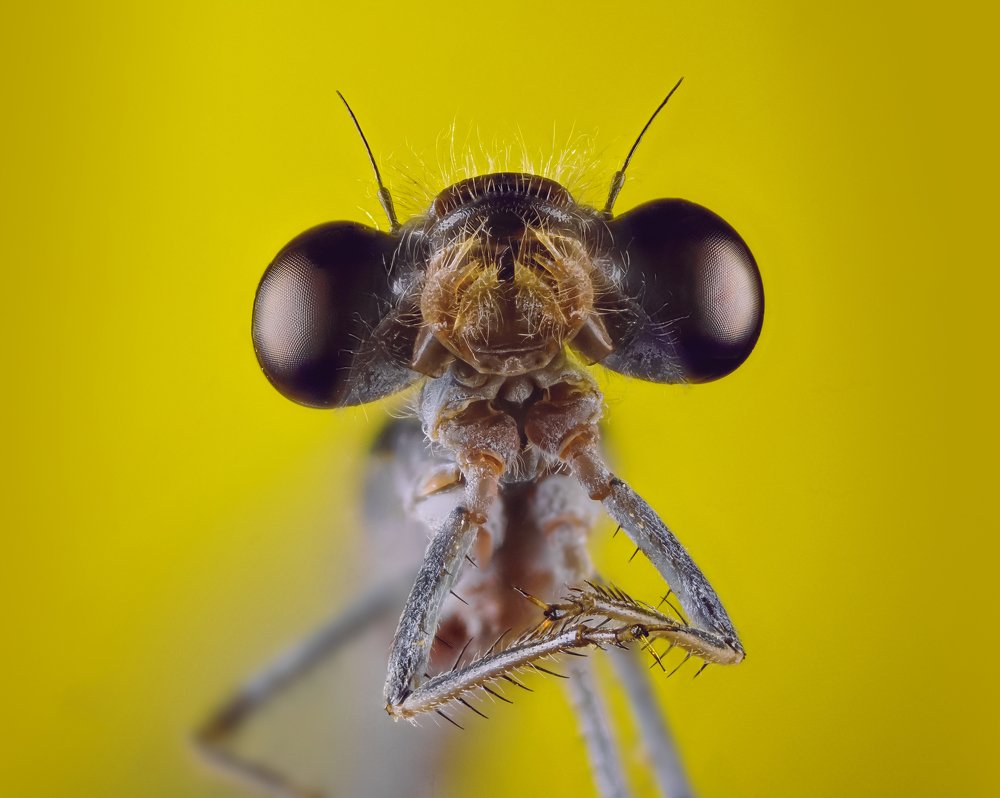 Photograph by Norberto Martínez