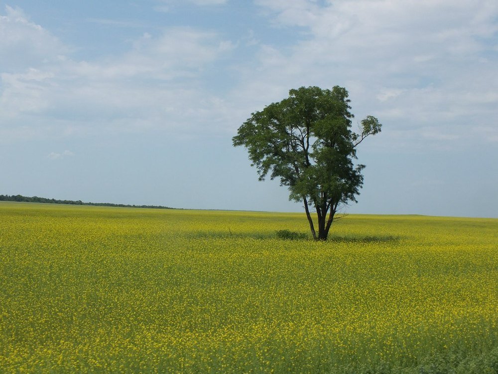Photograph by Ольга Клименко