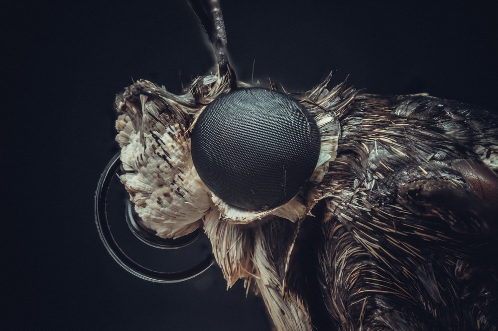 Photograph by Norberto Martínez