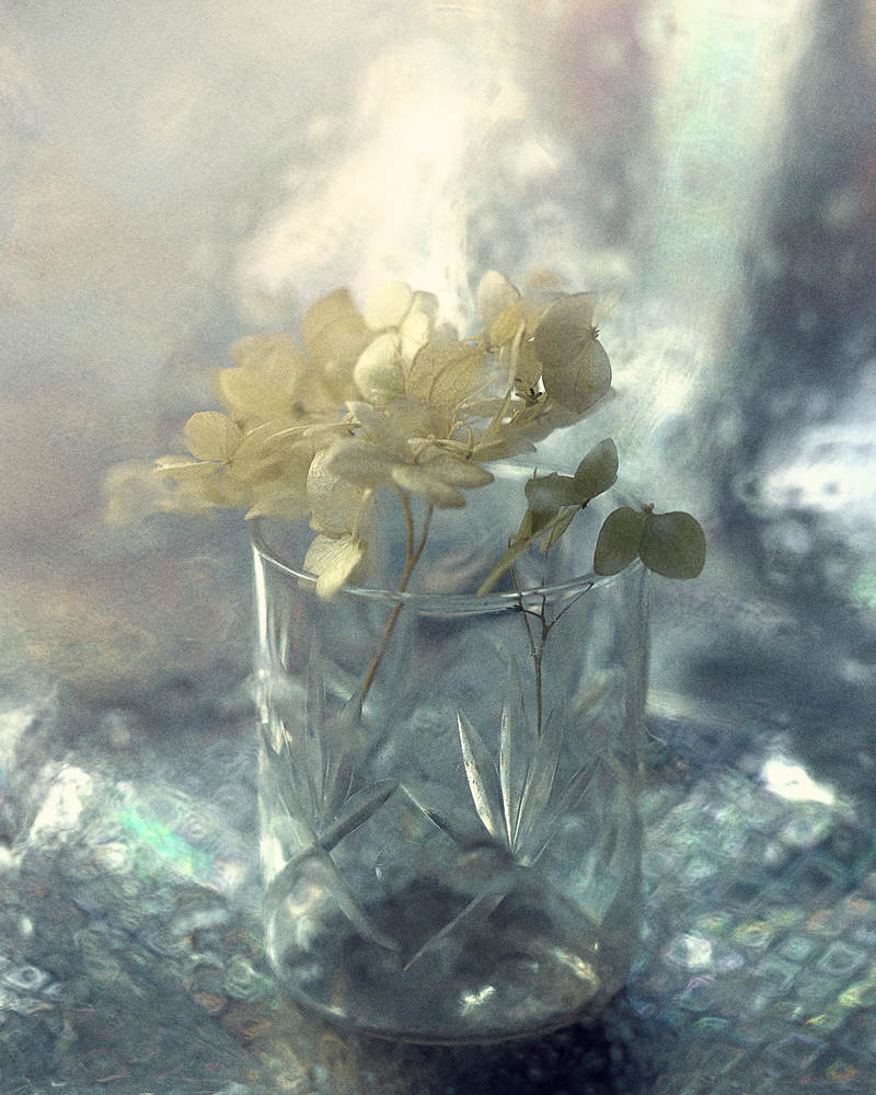 Photograph by Екатерина Бокова