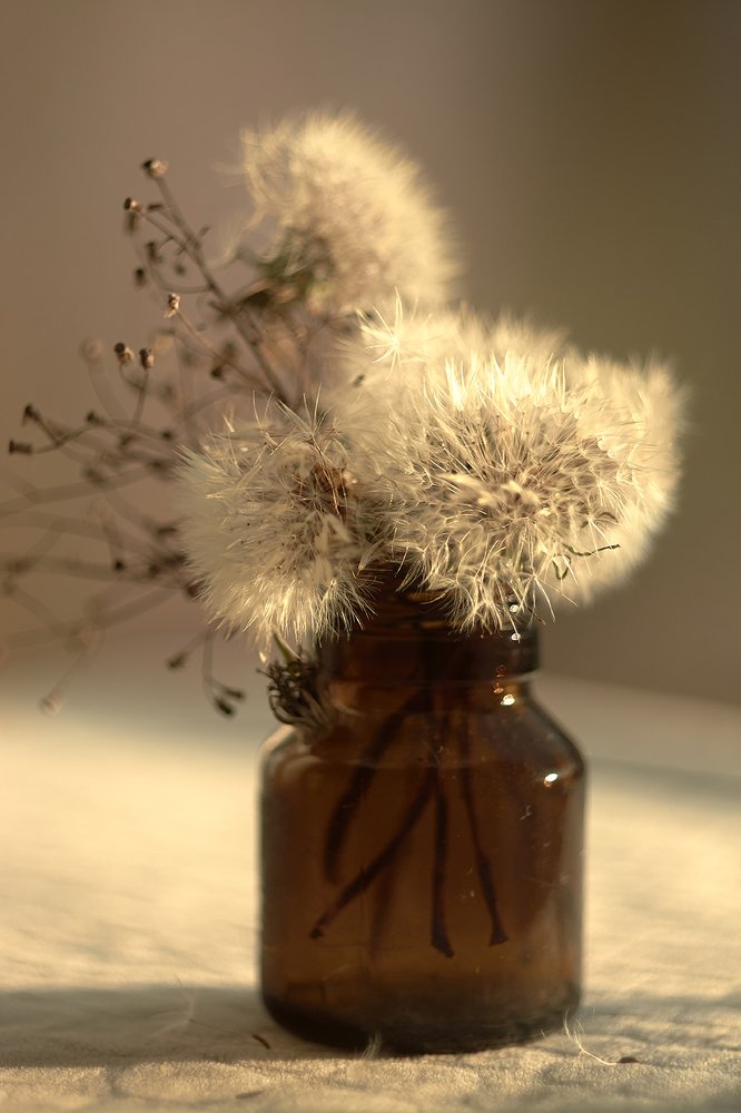 В утреннем свете