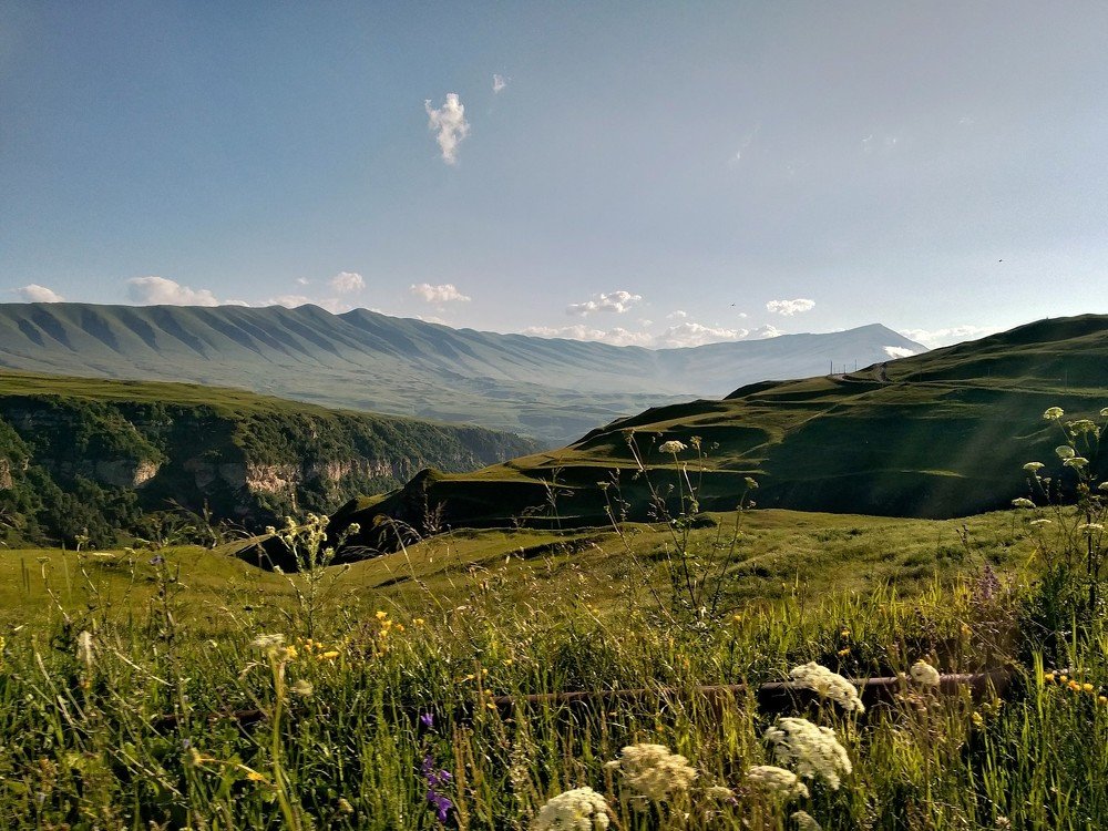 Photograph by Фурсова Людмила