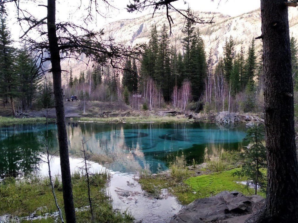 Photograph by Фурсова Людмила