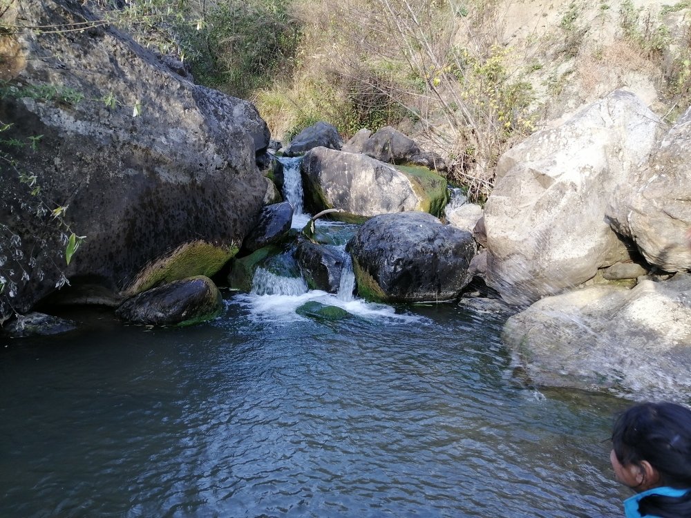 Photo #4289494