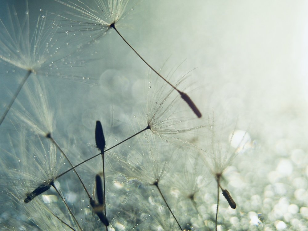 Photograph by Олеся Семенова