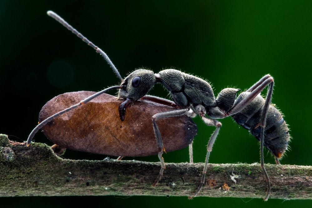 Photograph by KAIYEN LEE