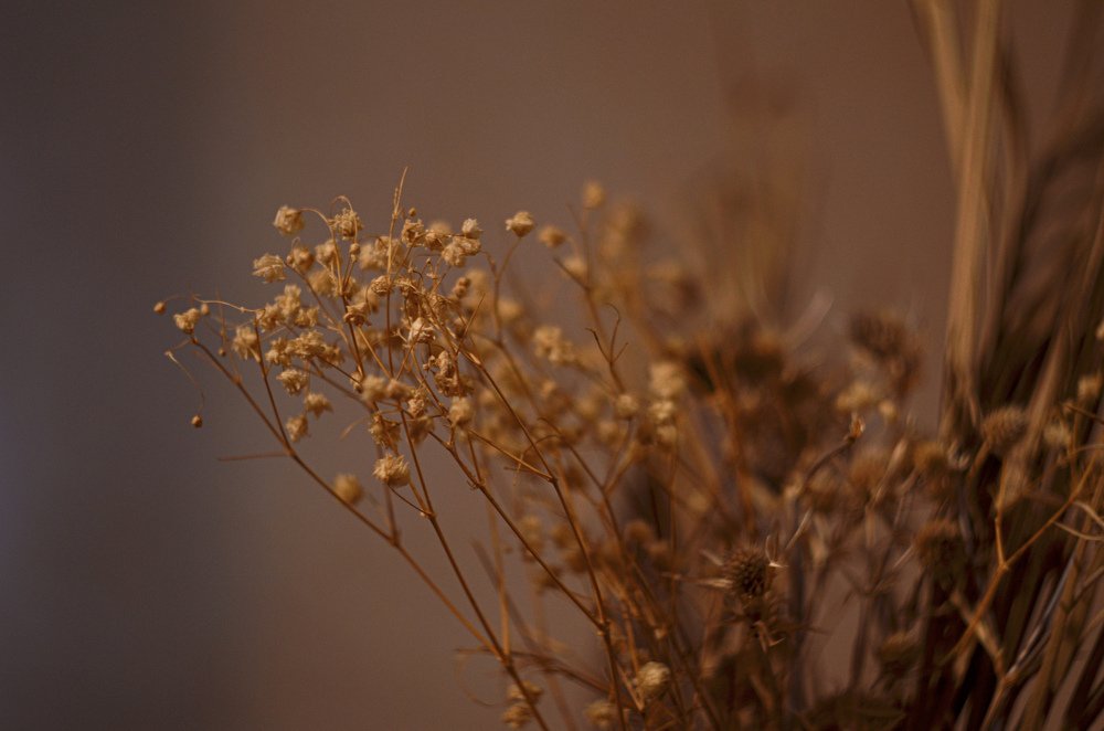 Photograph by Тамара Козлова