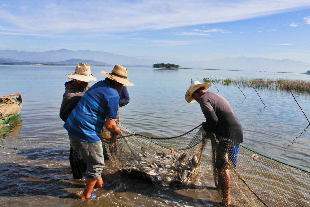 Photograph by Jesus Santamaría