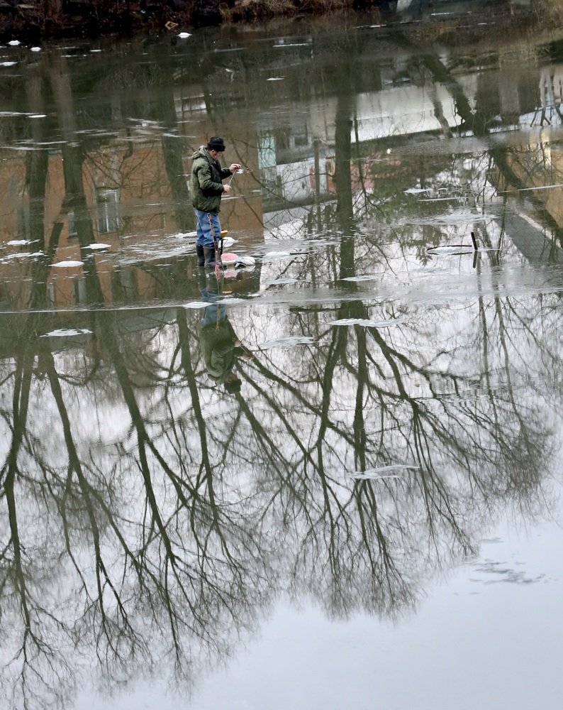 Photograph by Елена Ломова