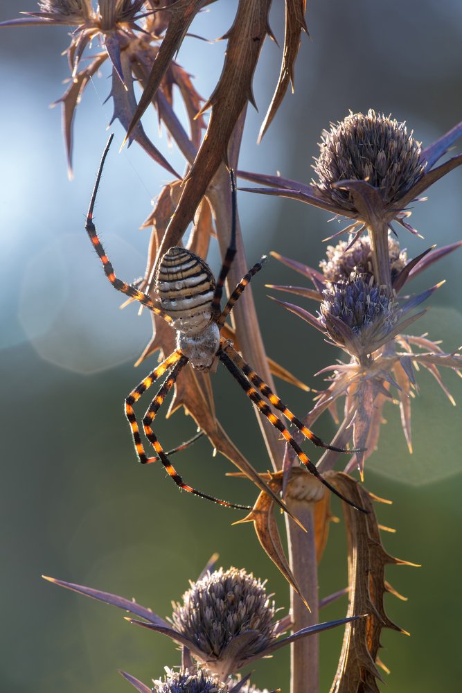 Photograph by Игорь ФУММ