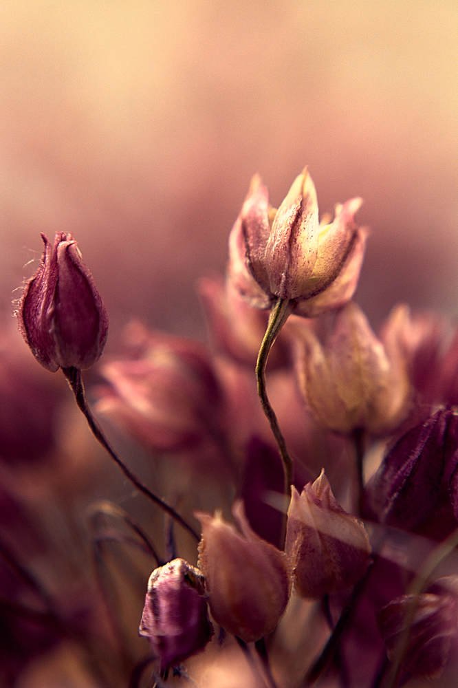 Photograph by Екатерина Бокова