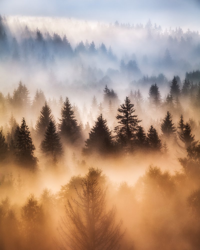 Photograph by Lukáš Veselý