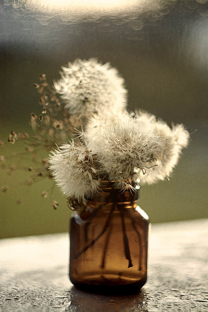 Photograph by Екатерина Бокова