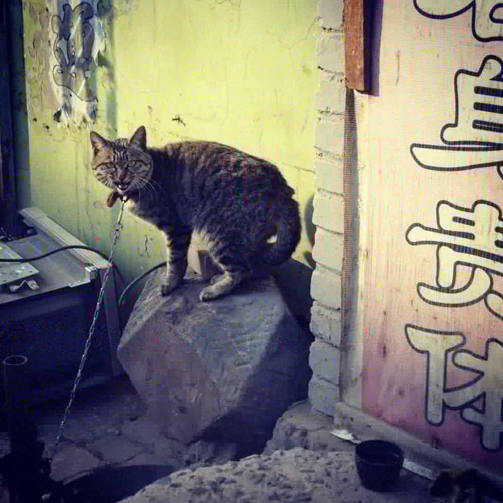 Photograph by Leandro Fernandez