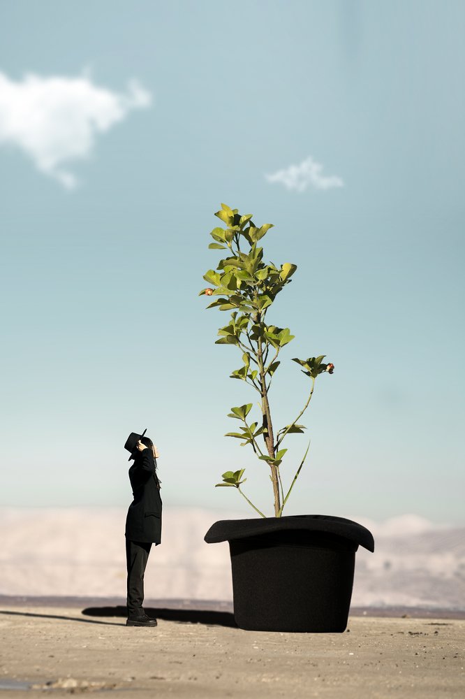 Seedlings of the mind