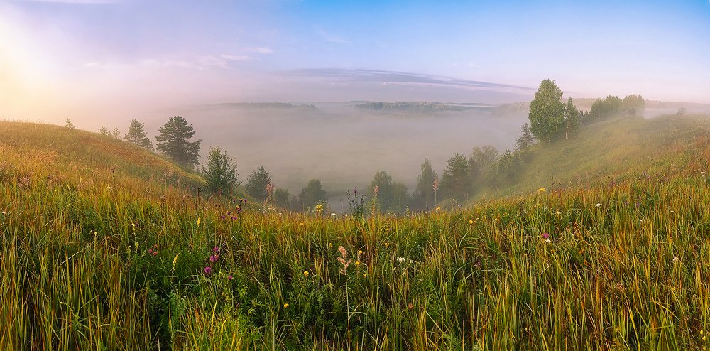 Чаша тумана.