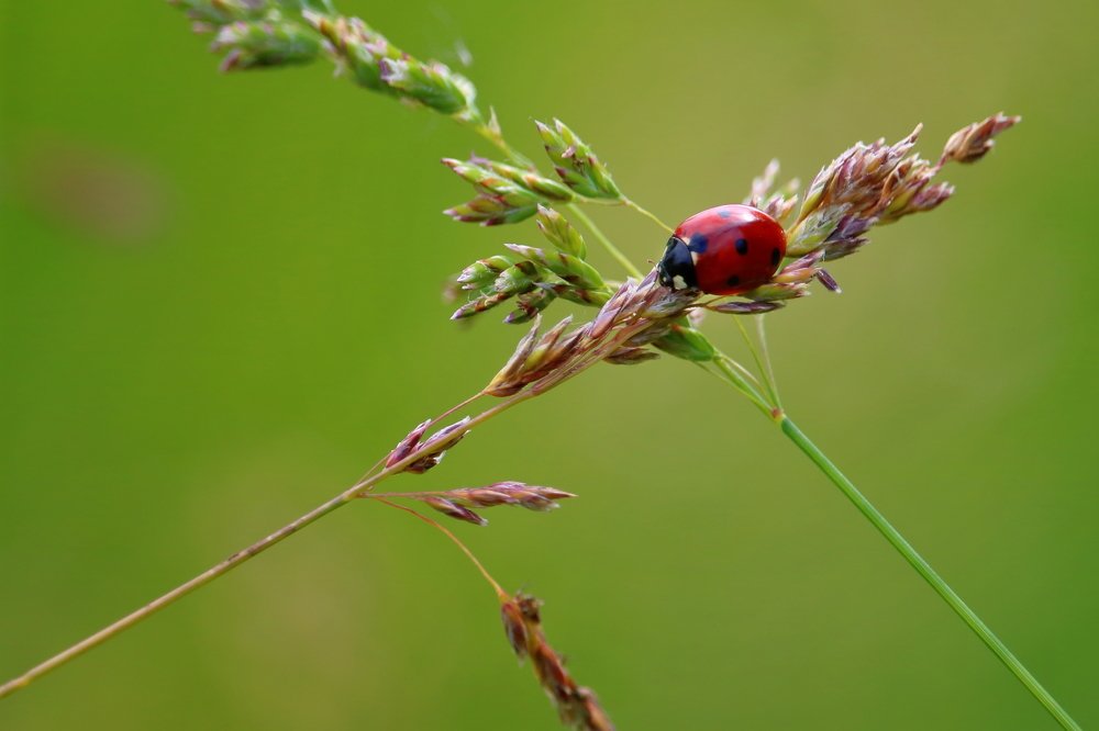 Фотография автора Сыч Римма