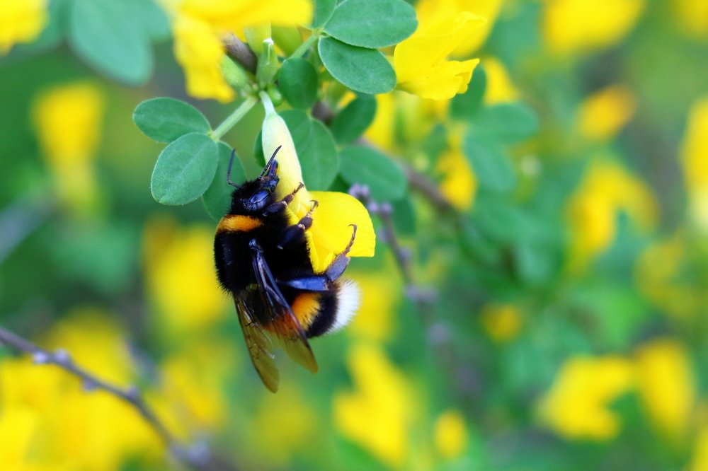 Фотография автора Сыч Римма