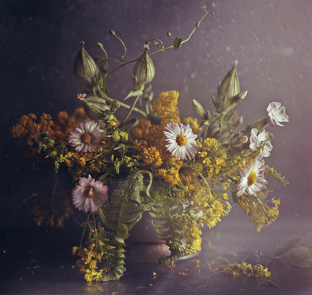 Photograph by Svoboda Andreeva