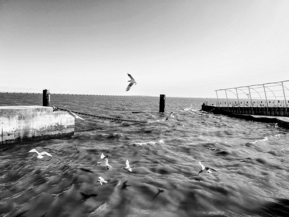 Photograph by Lina Martins