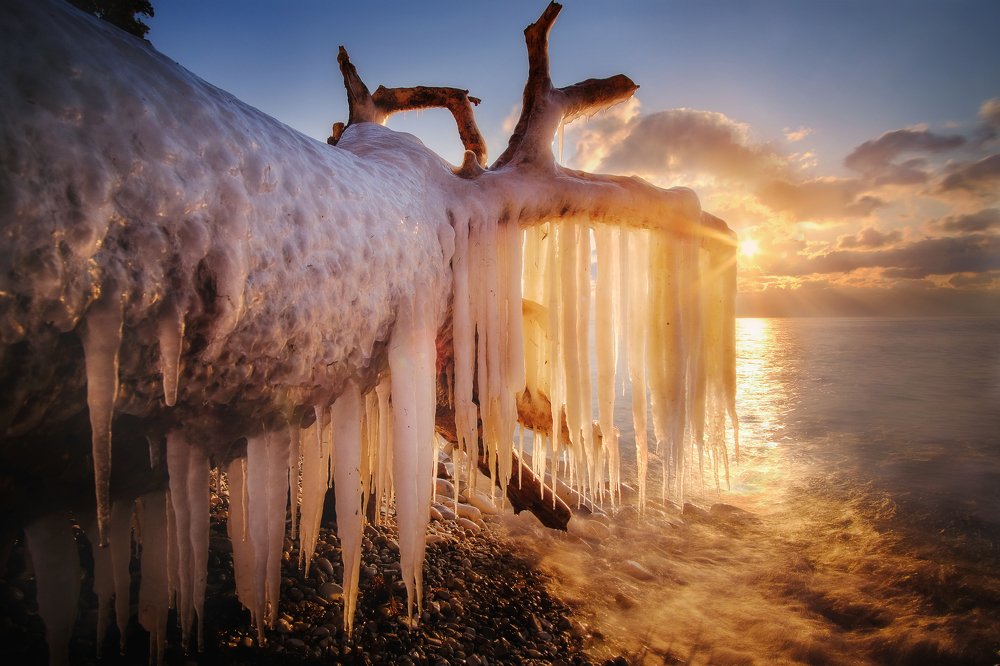 Ледяная борода