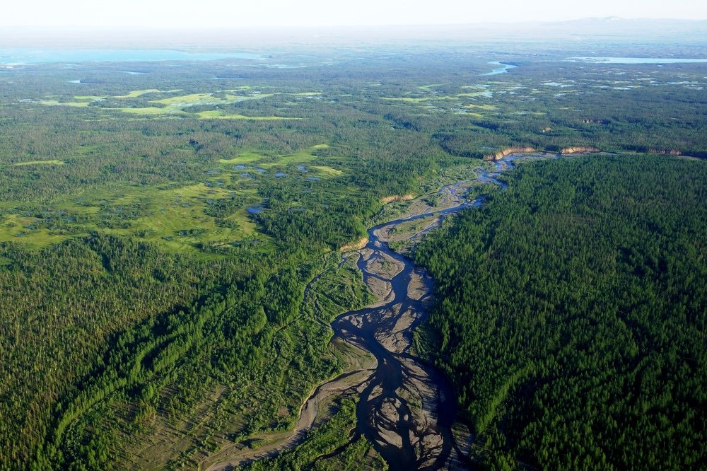 Взглядом птиц...