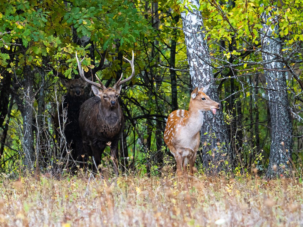Вот тебе, фотограф...