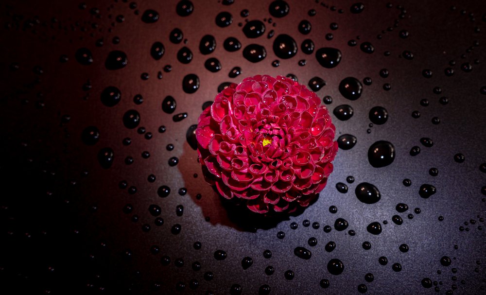 Photograph by Алина КАШКАВАЛ