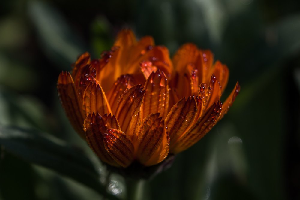 Photograph by Kshitij Patle