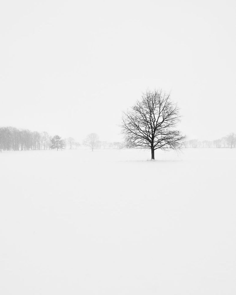 Photograph by Елена Курзина