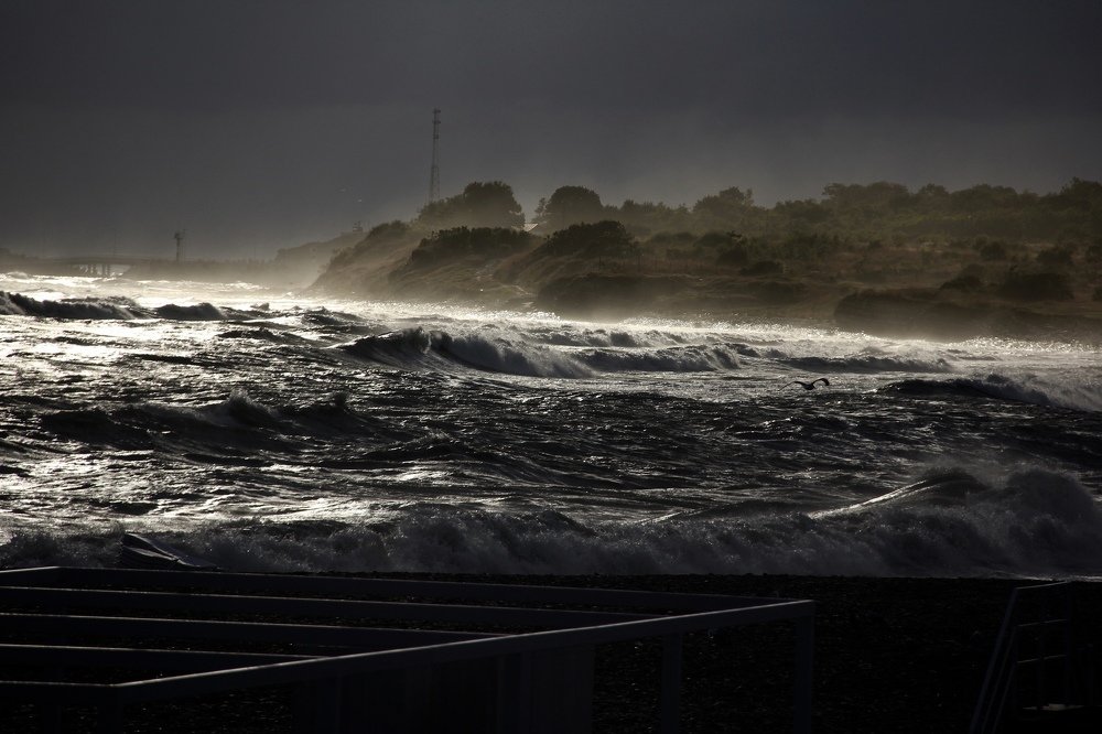 Photograph by Елена Ломова