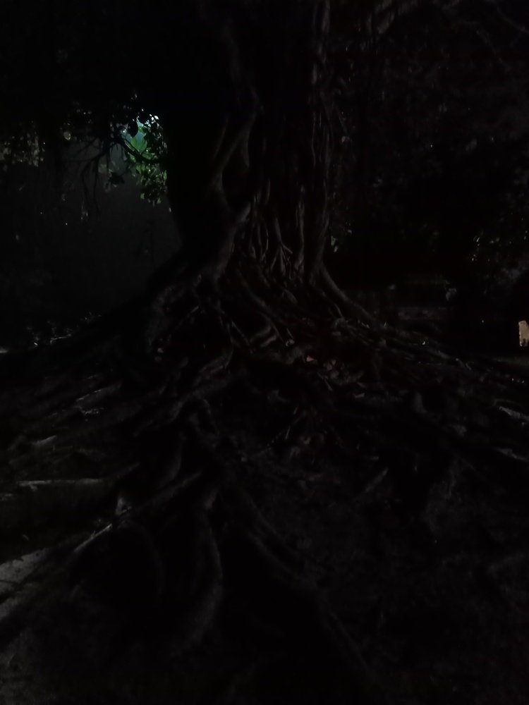 Photograph by Sarveswar Biswal