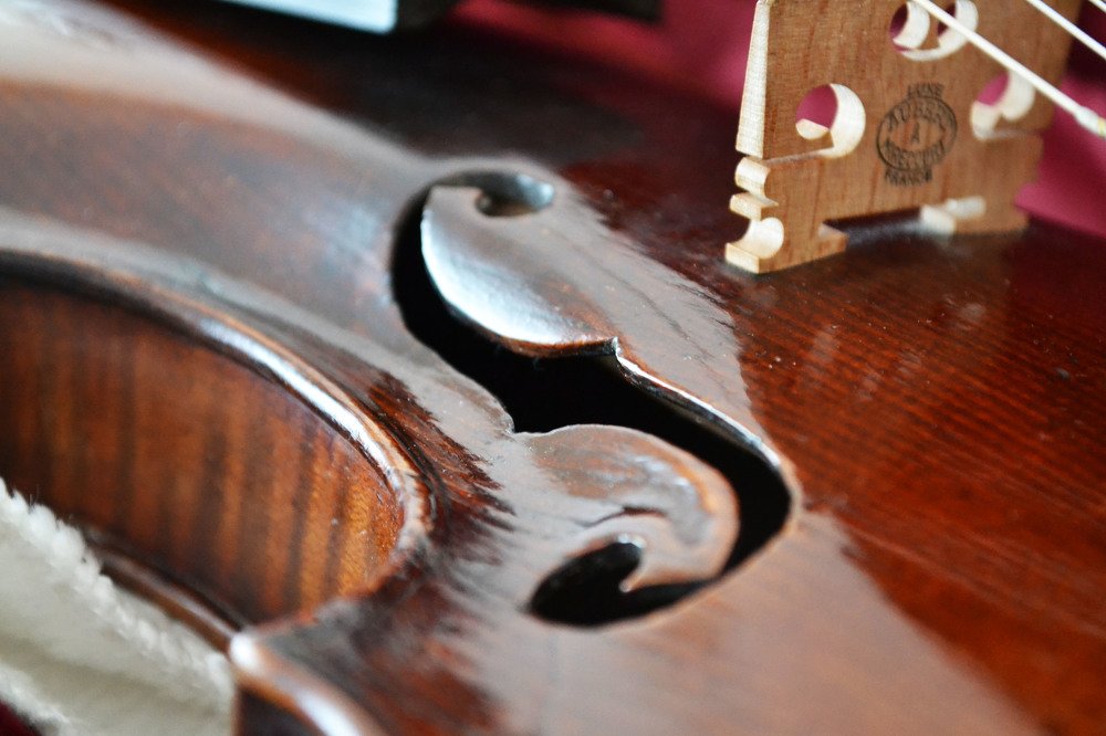 Photograph by Алёна Пестерева