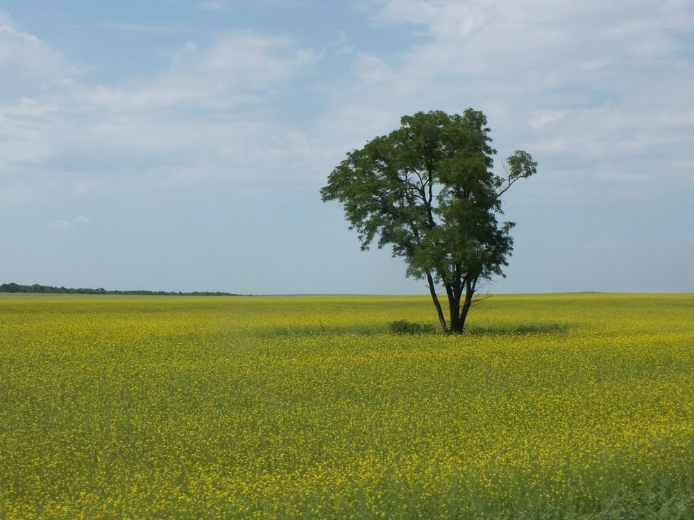 Photograph by Ольга Клименко