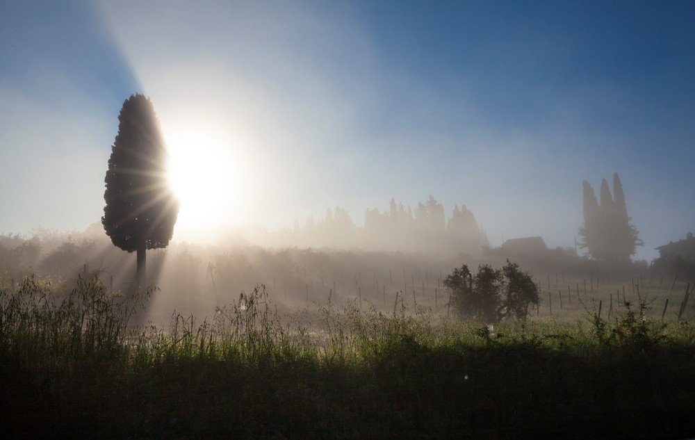 Photograph by TAISIA CHAIKA