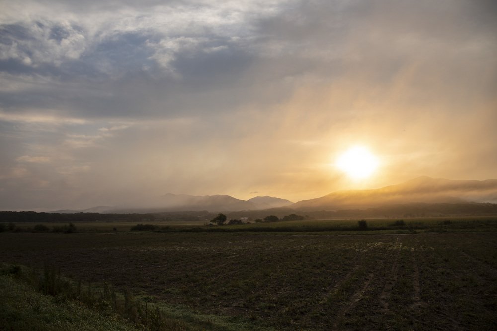 Photograph by TAISIA CHAIKA