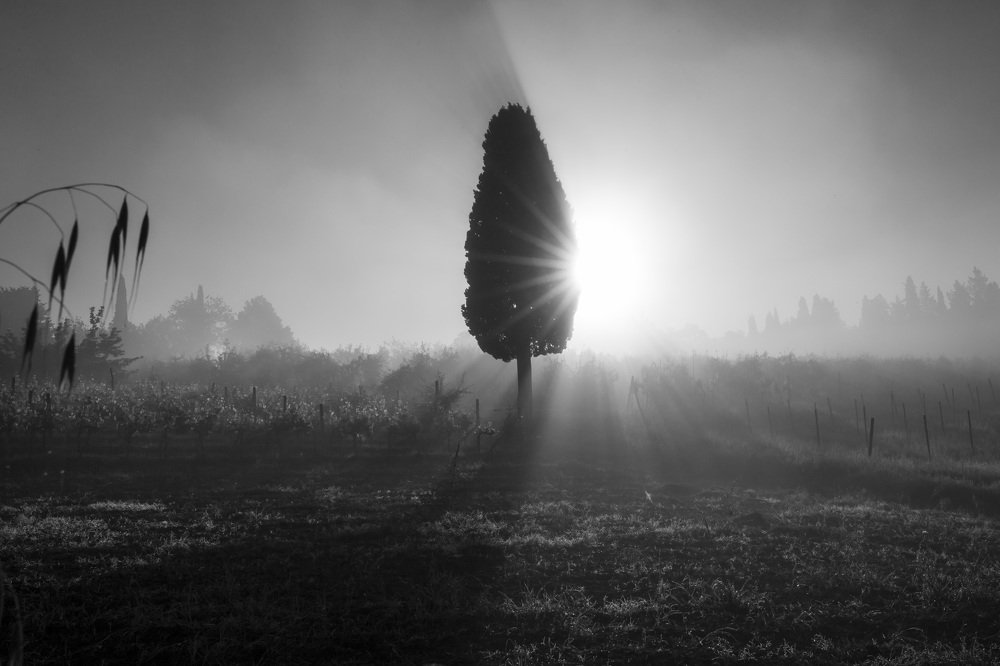 Photograph by TAISIA CHAIKA