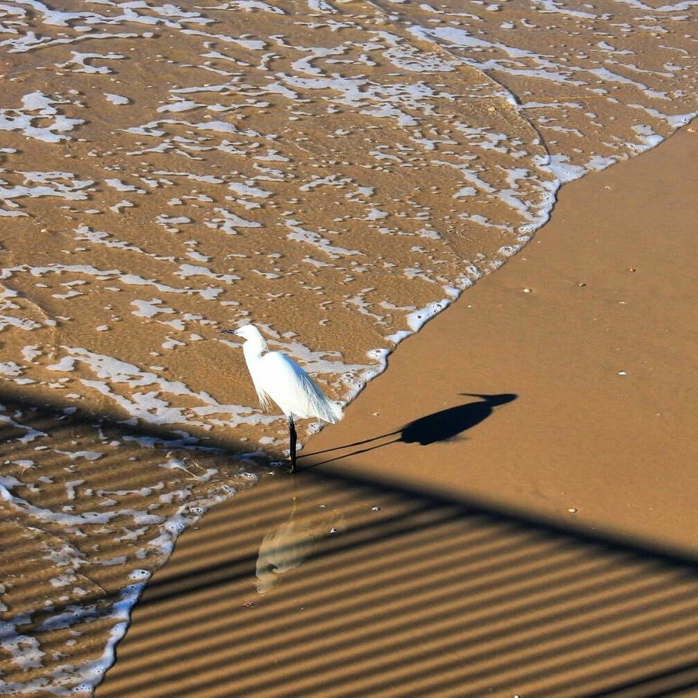 Репортажная фотография.