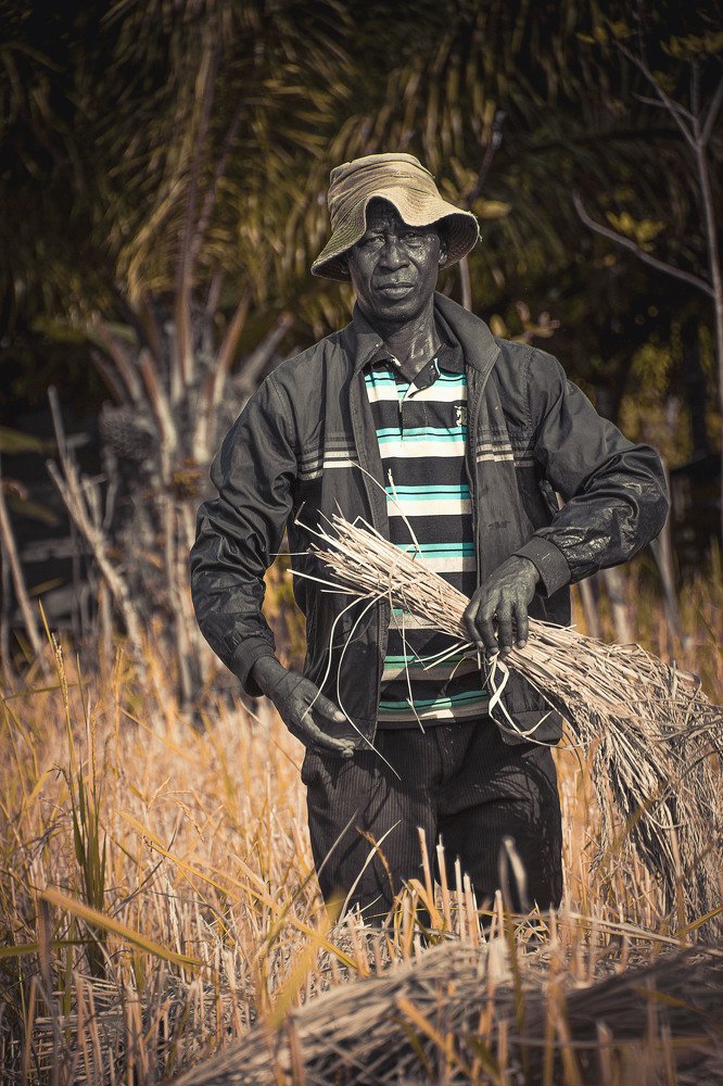 Фотография автора Daniel Attah Sekyi