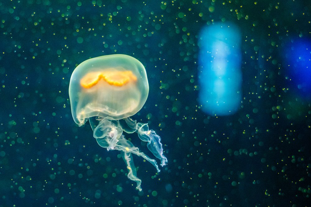 Photograph by Алексей Зотов