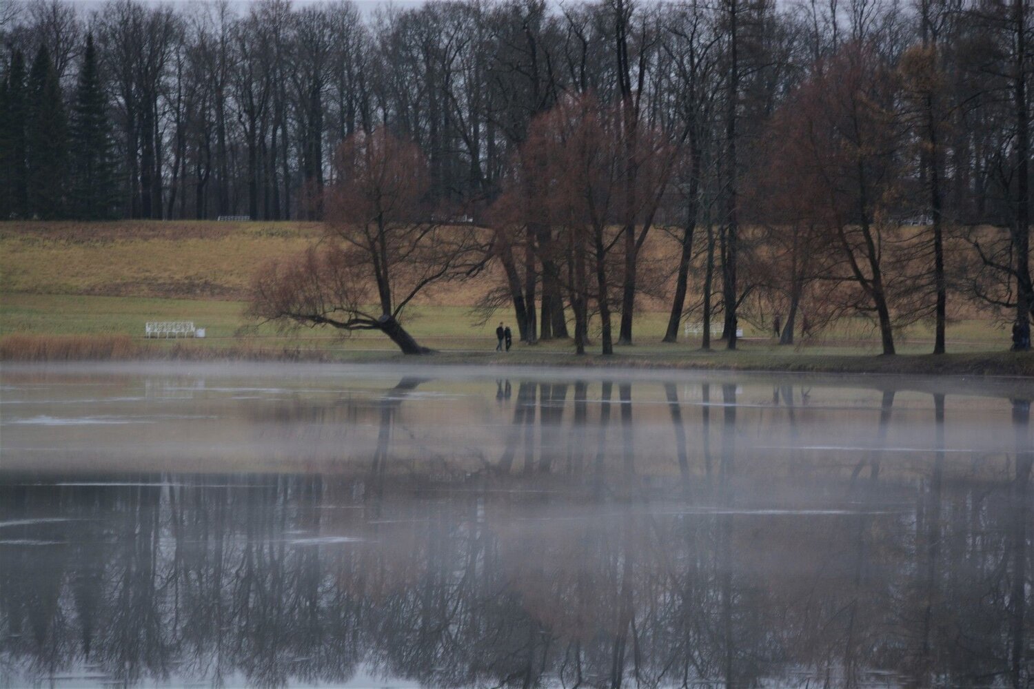 Photo #4290427