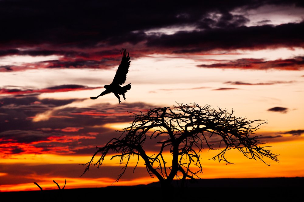 Photograph by Hicham Abouzeid