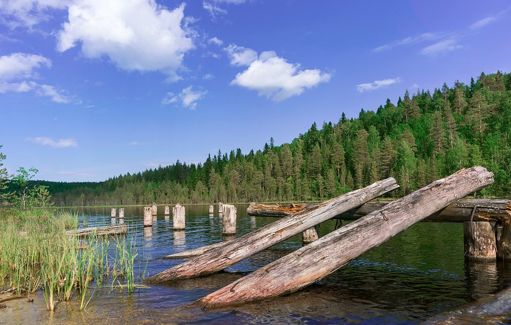 Photograph by Олег Милеев (Каминцев)