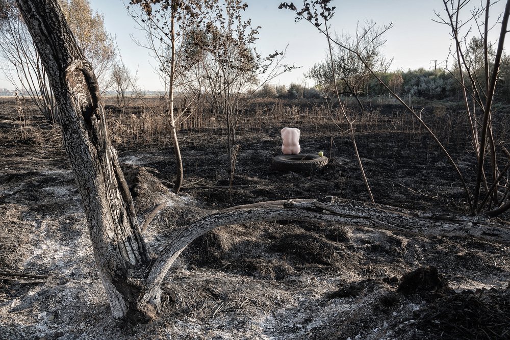 Photograph by Евгения Лесняк