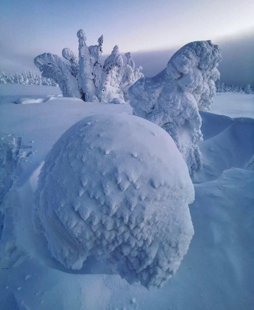 Стражи Севера