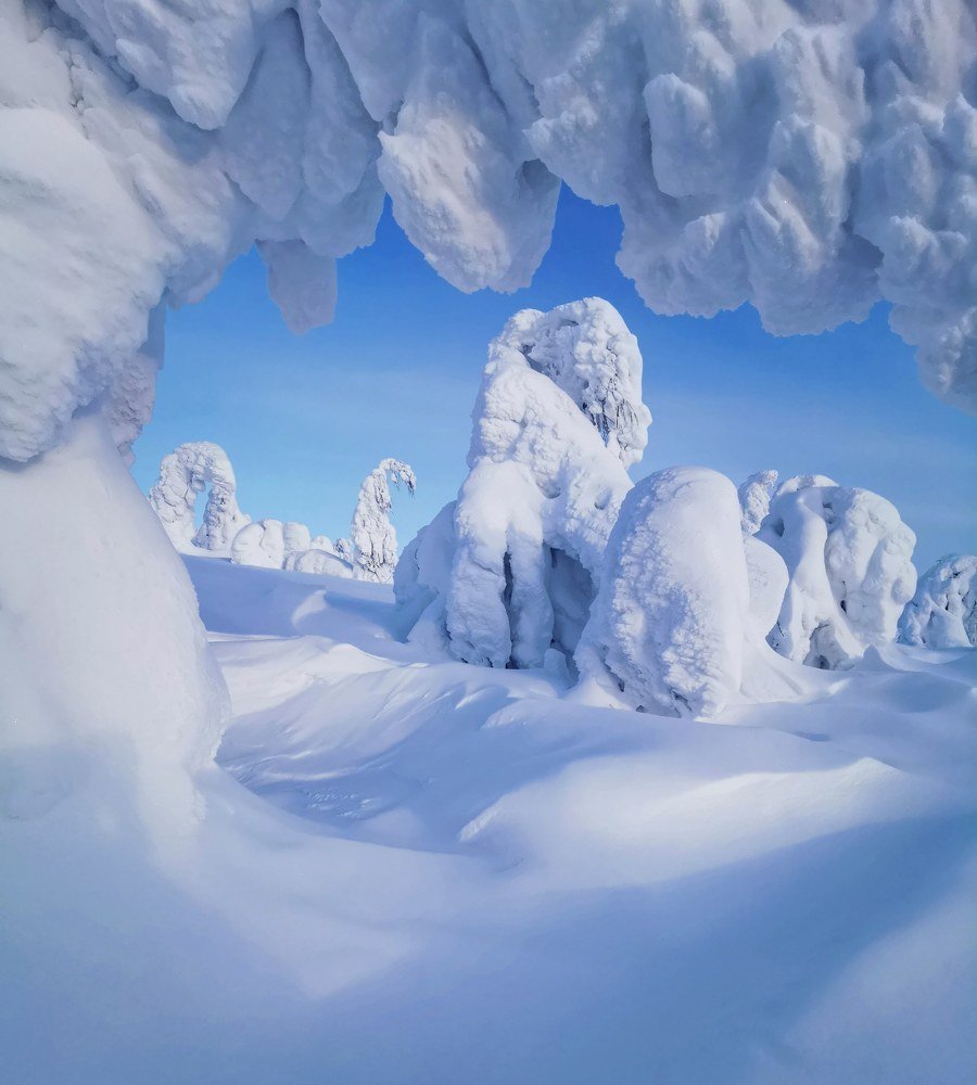 В зимней сказке