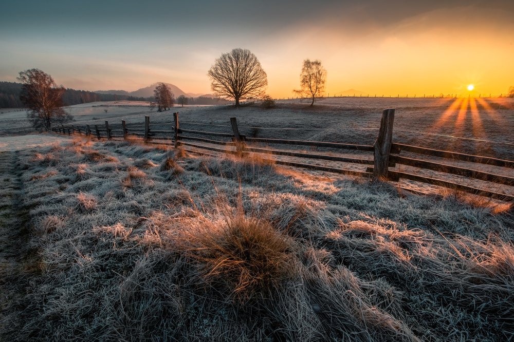 Sunrise in Meadows